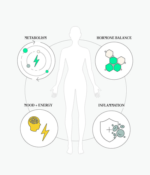 A Root Cause Approach to Perimenopause