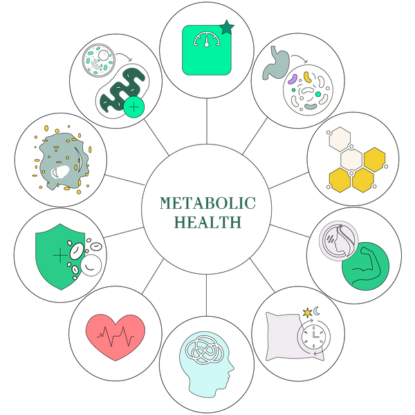 Fix the foundation, everything else gets stronger