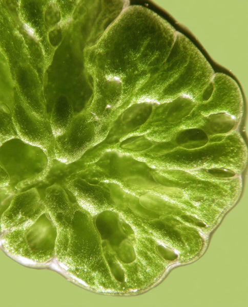 Root Cause Ingredients