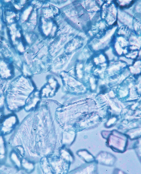 Root Cause Ingredients