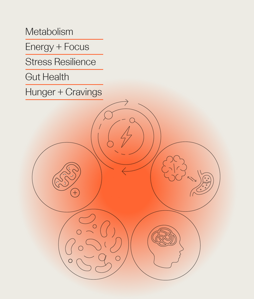 A Root Cause Approach To Stress Management