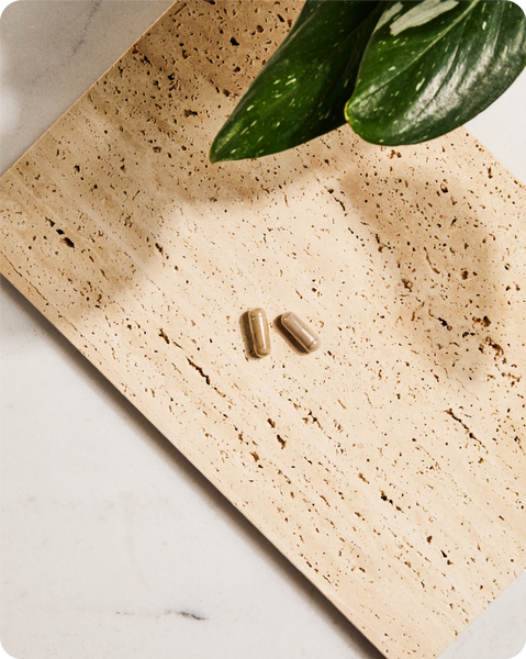 Sustain your health – and the planet