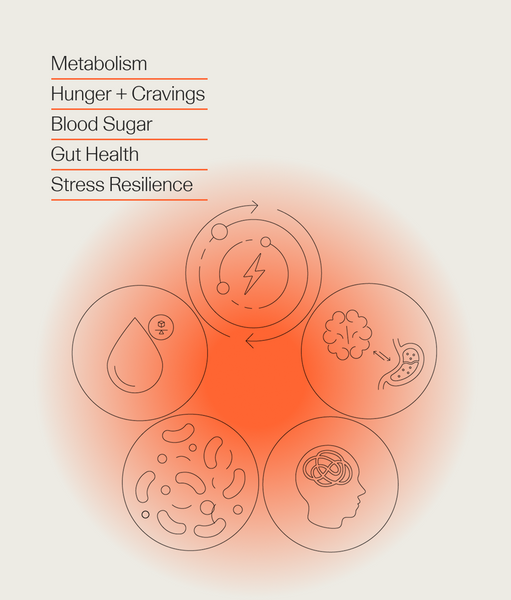 A Root Cause Approach to Weight Loss