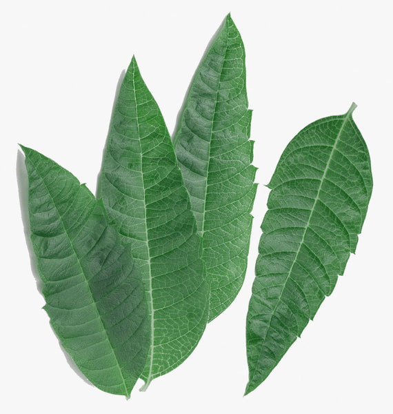 Root Cause Ingredients