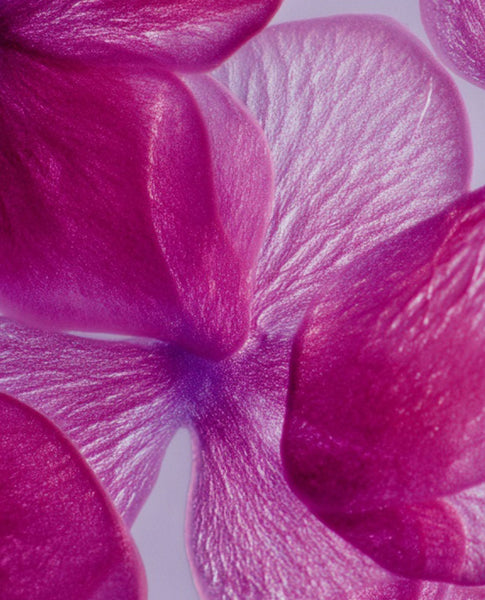 Root Cause Ingredients