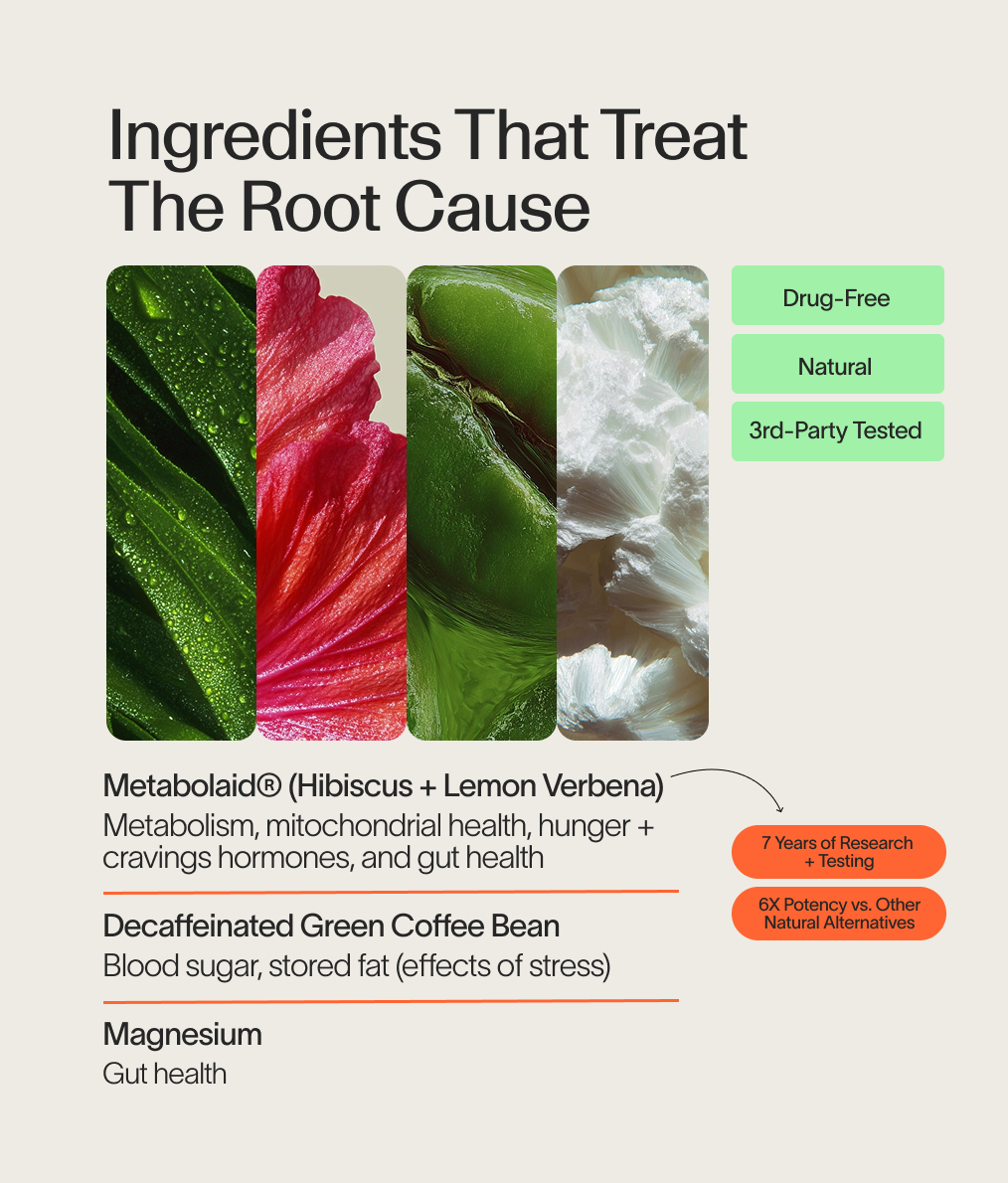 Metabolism Ignite
