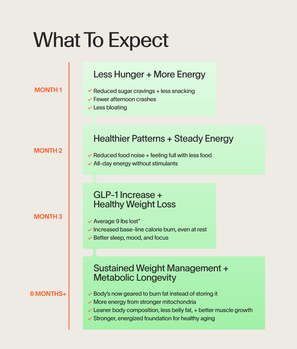 Metabolism Ignite
