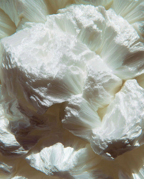 Root Cause Ingredients