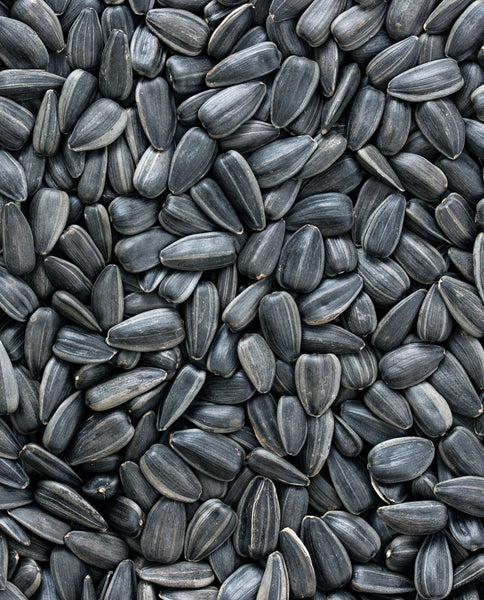 Root Cause Ingredients