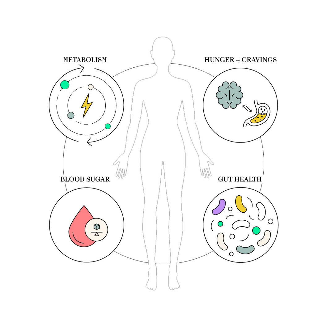 A Root Cause Approach to Metabolic Health