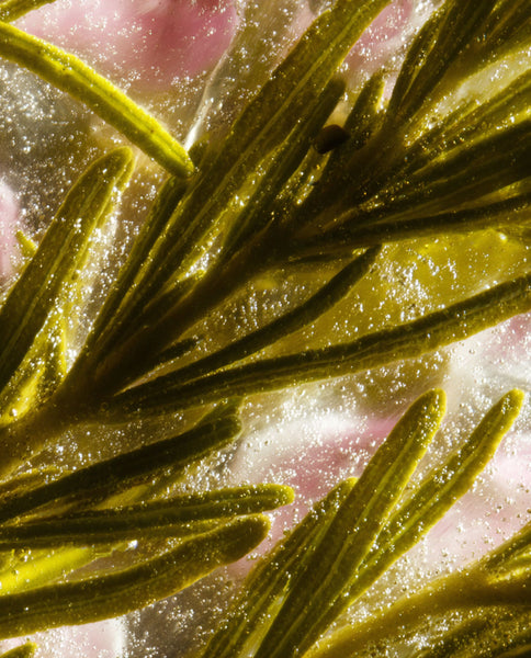 Root Cause Ingredients