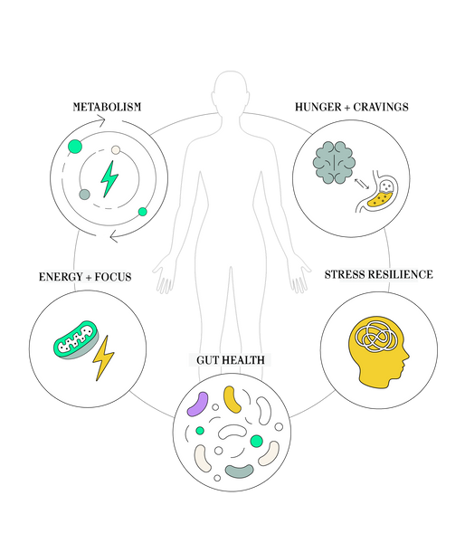 A Root Cause Approach To Stress Management