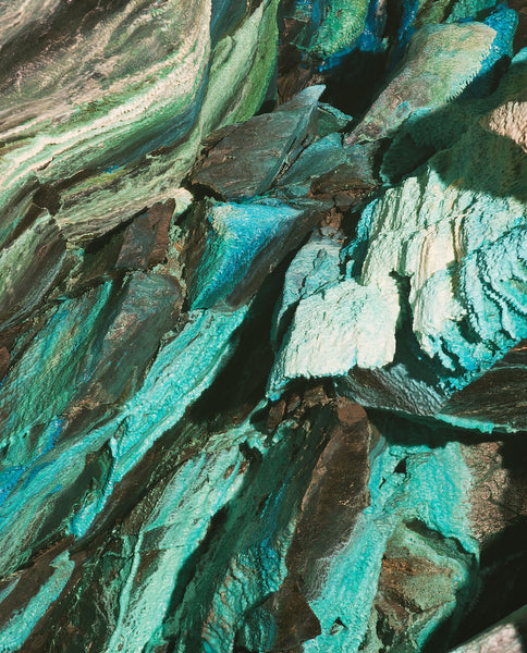 ROOT CAUSE INGREDIENTS